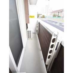 アムール橘のサムネイル