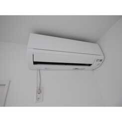 アムール橘のサムネイル