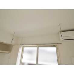 アムール橘のサムネイル