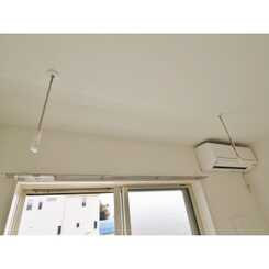 アムール橘のサムネイル