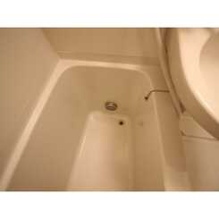 當麻ハイムのサムネイル