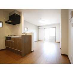 デュラカーサ 藤八Ⅰのサムネイル