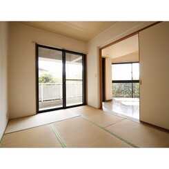 Gold Coast Sweetのサムネイル