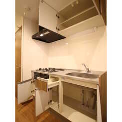 アムールシュシュのサムネイル