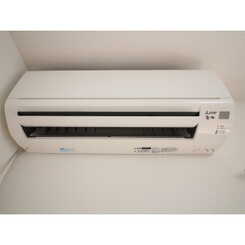 アムールシュシュのサムネイル