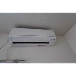 コスモベルテのサムネイル