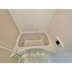 アムール白楽のサムネイル