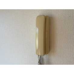 テンダーハウスのサムネイル