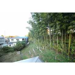 アムール　ベルフルールのサムネイル