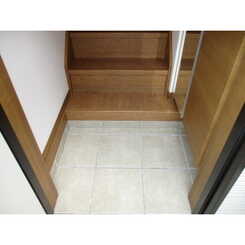 Tアムールのサムネイル