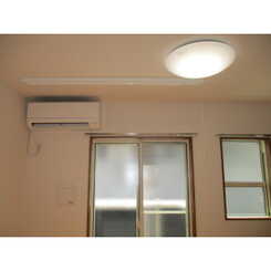 Tアムールのサムネイル