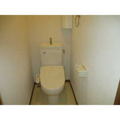 Tアムールのサムネイル