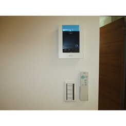 Tアムールのサムネイル