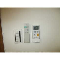 Tアムールのサムネイル