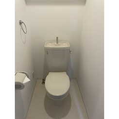 モデルノのサムネイル