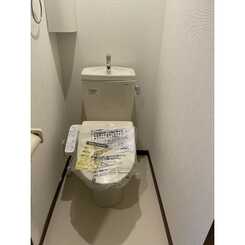 ルナ・戸田のサムネイル