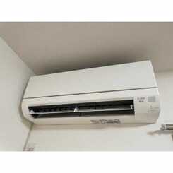 Dolceのサムネイル