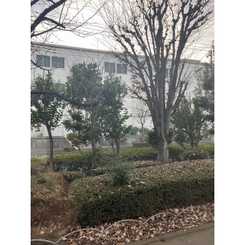ドミールサエキA棟のサムネイル