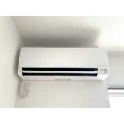 アイリスフジのサムネイル