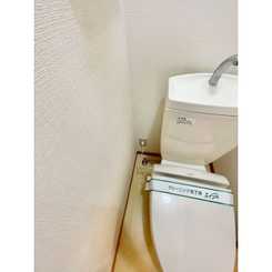 White Wingのサムネイル
