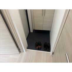 D porta soleのサムネイル