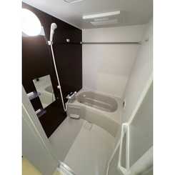 アムール　アピスのサムネイル