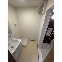 アムール　アピスのサムネイル