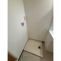 ロイヤルオークのサムネイル