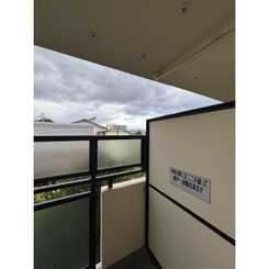 ロイヤルオークのサムネイル