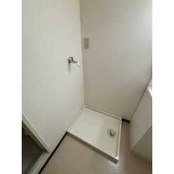 ロイヤルオークのサムネイル