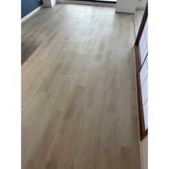 ロイヤルオークのサムネイル