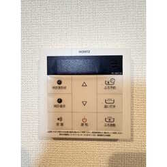 アムール　サヴァのサムネイル