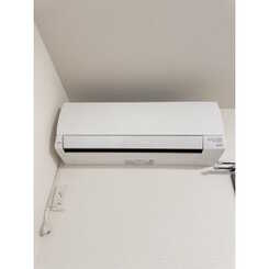 アムール　サヴァのサムネイル