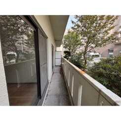 ハイムとのぎのサムネイル