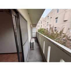 ハイムとのぎのサムネイル