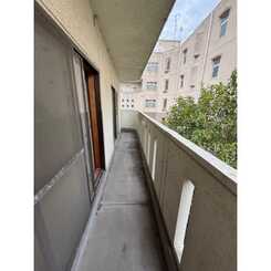 ハイムとのぎのサムネイル