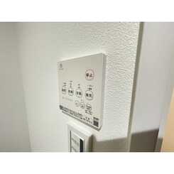 Persimmon(パーシモン)のサムネイル