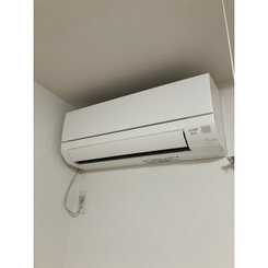 セルティスⅡのサムネイル