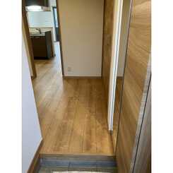 セルティスⅡのサムネイル