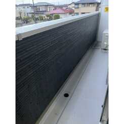 セルティスⅡのサムネイル