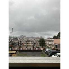 セルティスⅡのサムネイル