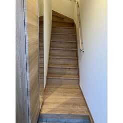 セルティスⅡのサムネイル