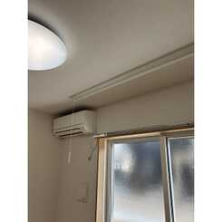 Forest-Kのサムネイル