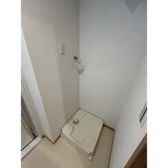 Forest-Kのサムネイル