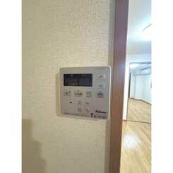 F.ロッシュのサムネイル