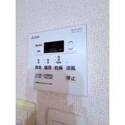 F.ロッシュのサムネイル