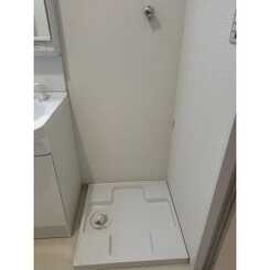 シャトームラシュウⅢのサムネイル