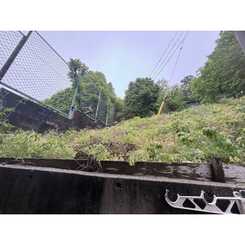 仁川ロイヤルハイツのサムネイル
