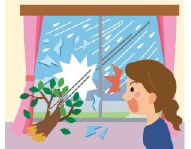 災害による破損