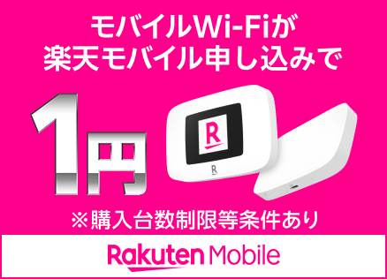 Rakuten WiFi Pocket Platinum
